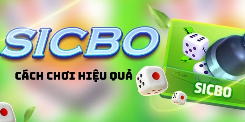 Tổng hợp các bí quyết cược đại tiểu hiệu quả, thắng chắc